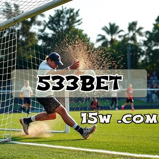 533bet.com: Descubra o Programa VIP e Seus Benefícios Exclusivos